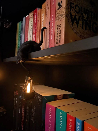 Kat met lantaarn & LED theelichtje