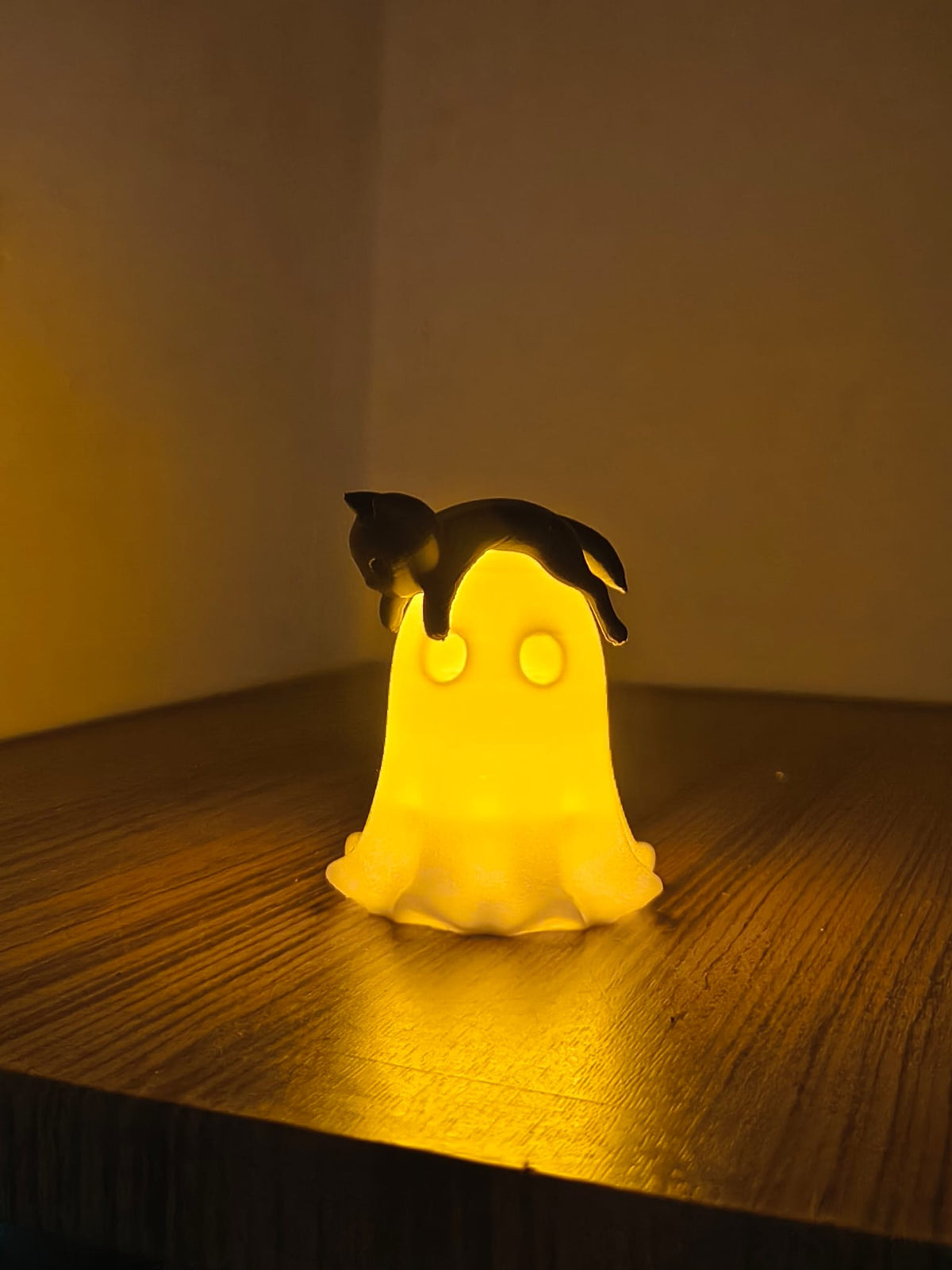 Lichtgevend spookje met kat