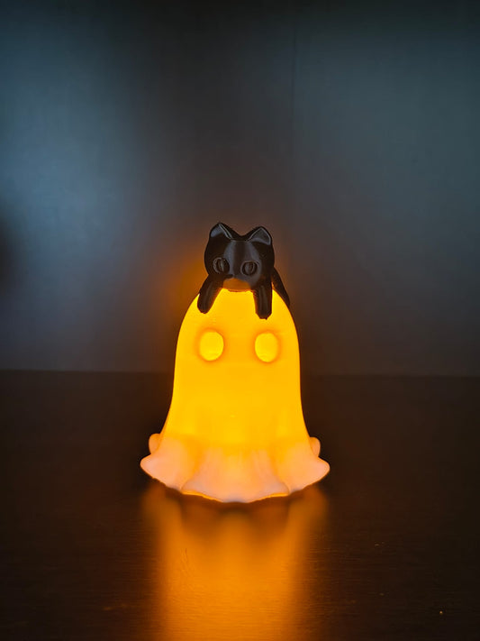 Lichtgevend spookje met kat