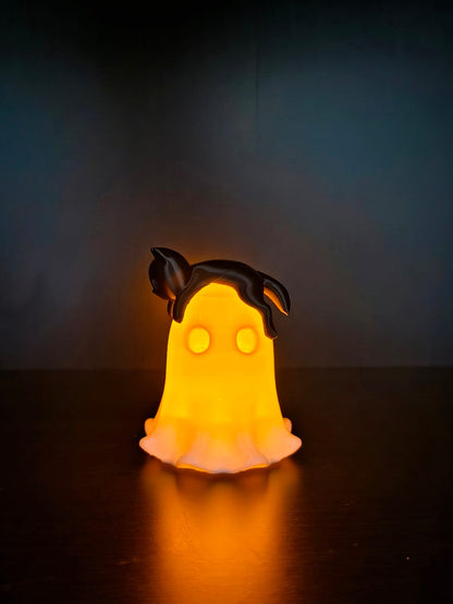Lichtgevend spookje met kat