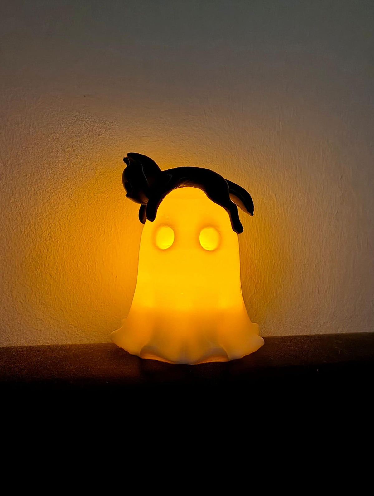 Lichtgevend spookje met kat